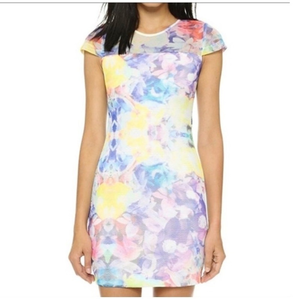 Parker Floral Mini Dress Women Small Multi Watercolor Mesh Feminine Fairy Spring